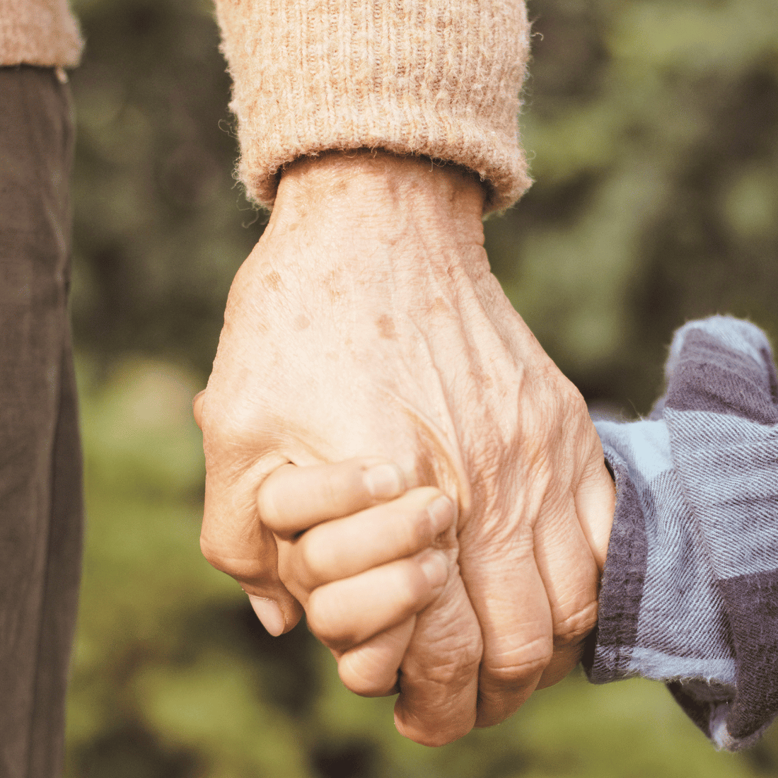 Image of a Grandfather holding a child's hand