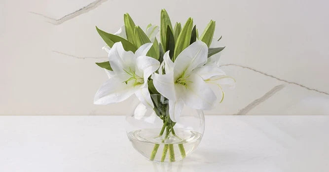 Sympathy Gifts to Let Them Know How Much You Care.