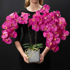 Isabelle (Faux Flowers)