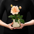 Rosa (Faux Flowers)