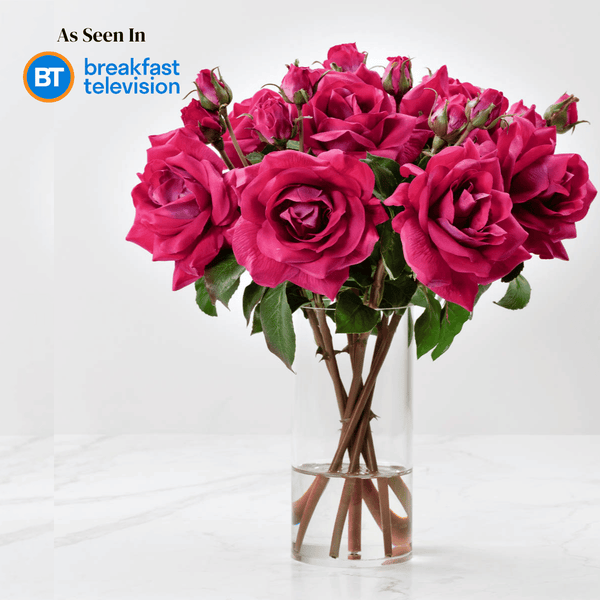 JANE (FAUX FLOWERS) (CC)