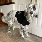 Dog Sweater
