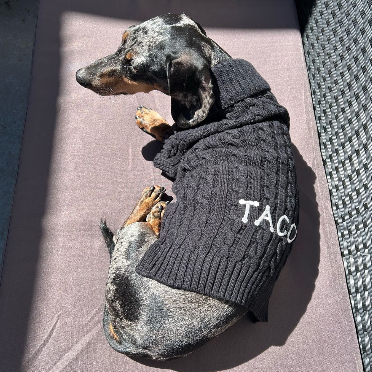 Dog Sweater