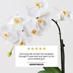 Grace (Faux Flowers)