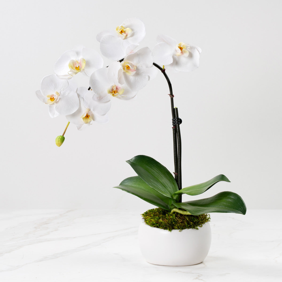 Grace (Faux Flowers)
