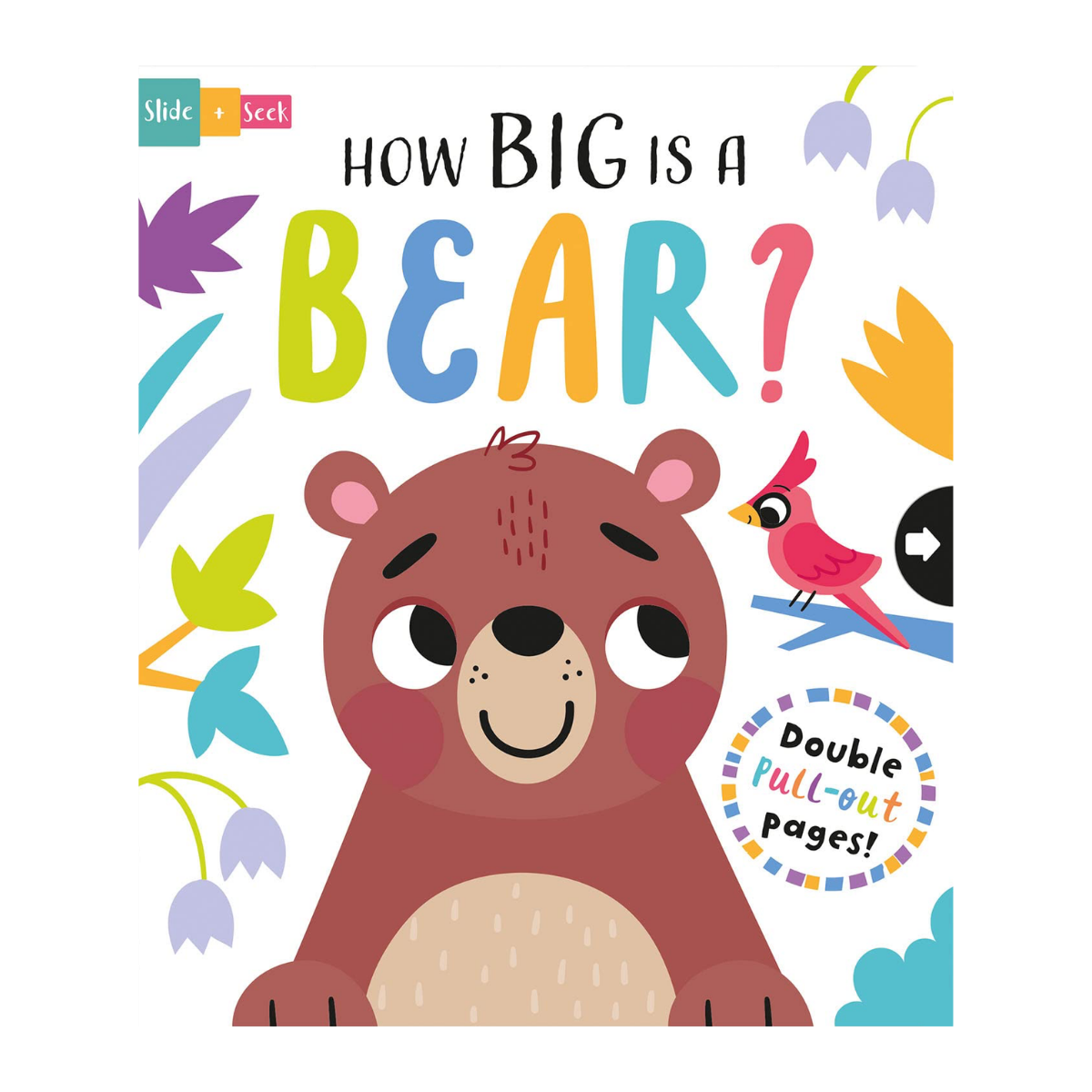 How Big is a Bear? Book