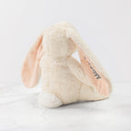 Nibble Bunny (M)