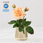 Rosa (Faux Flowers)