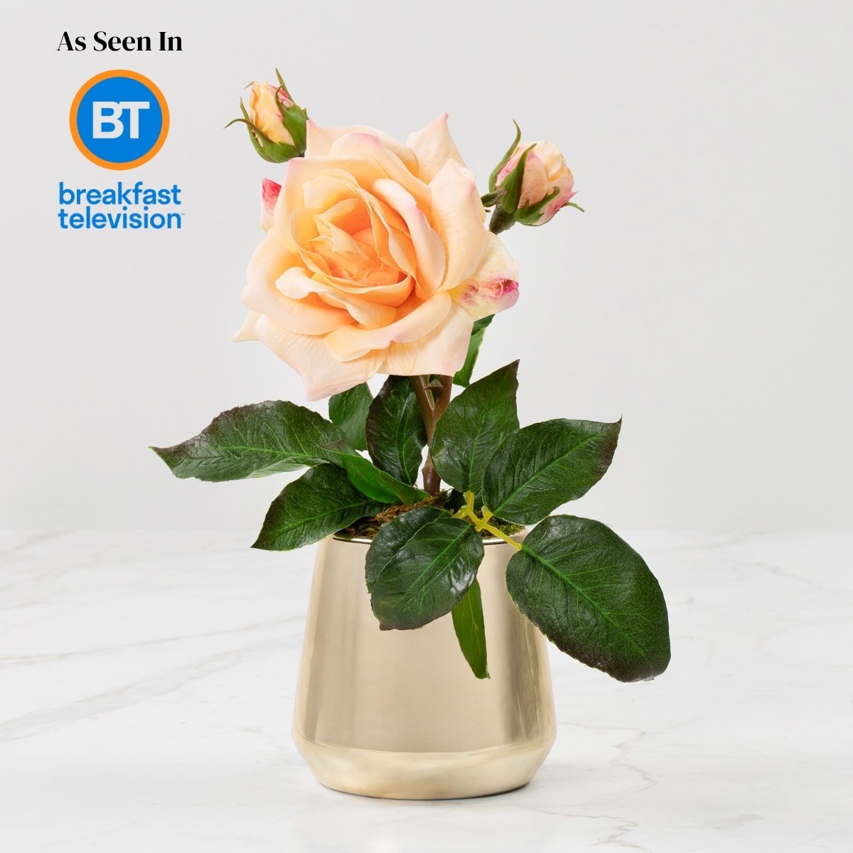 Rosa (Faux Flowers)
