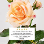 Rosa (Faux Flowers)