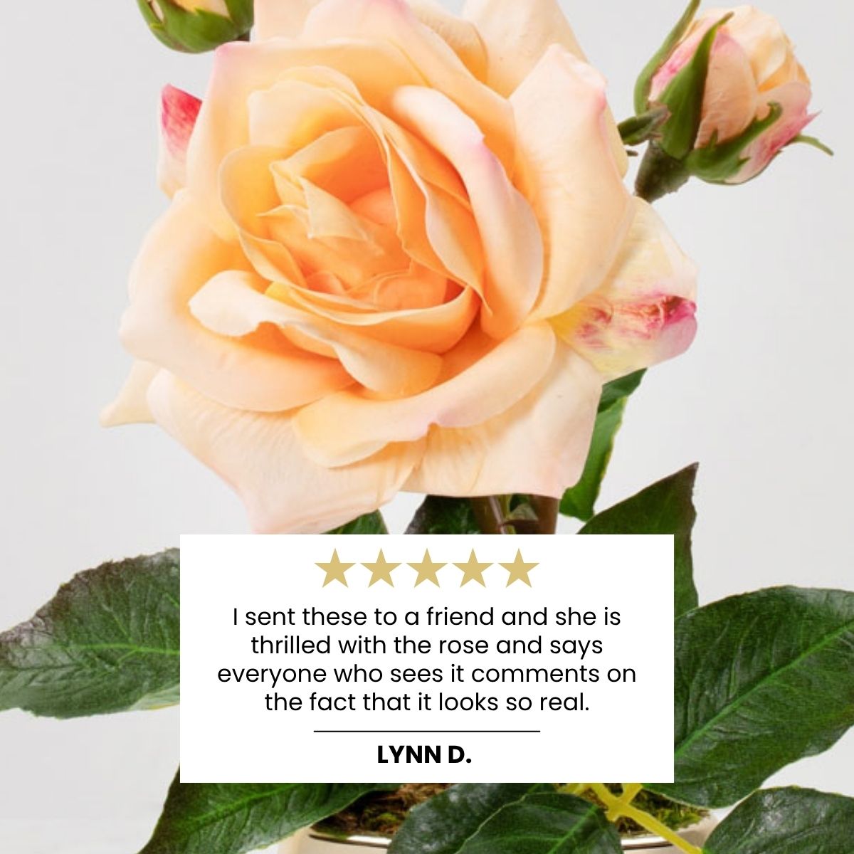 Rosa (Faux Flowers)