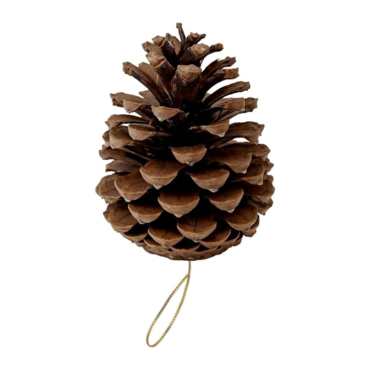Pine Cone Ornament