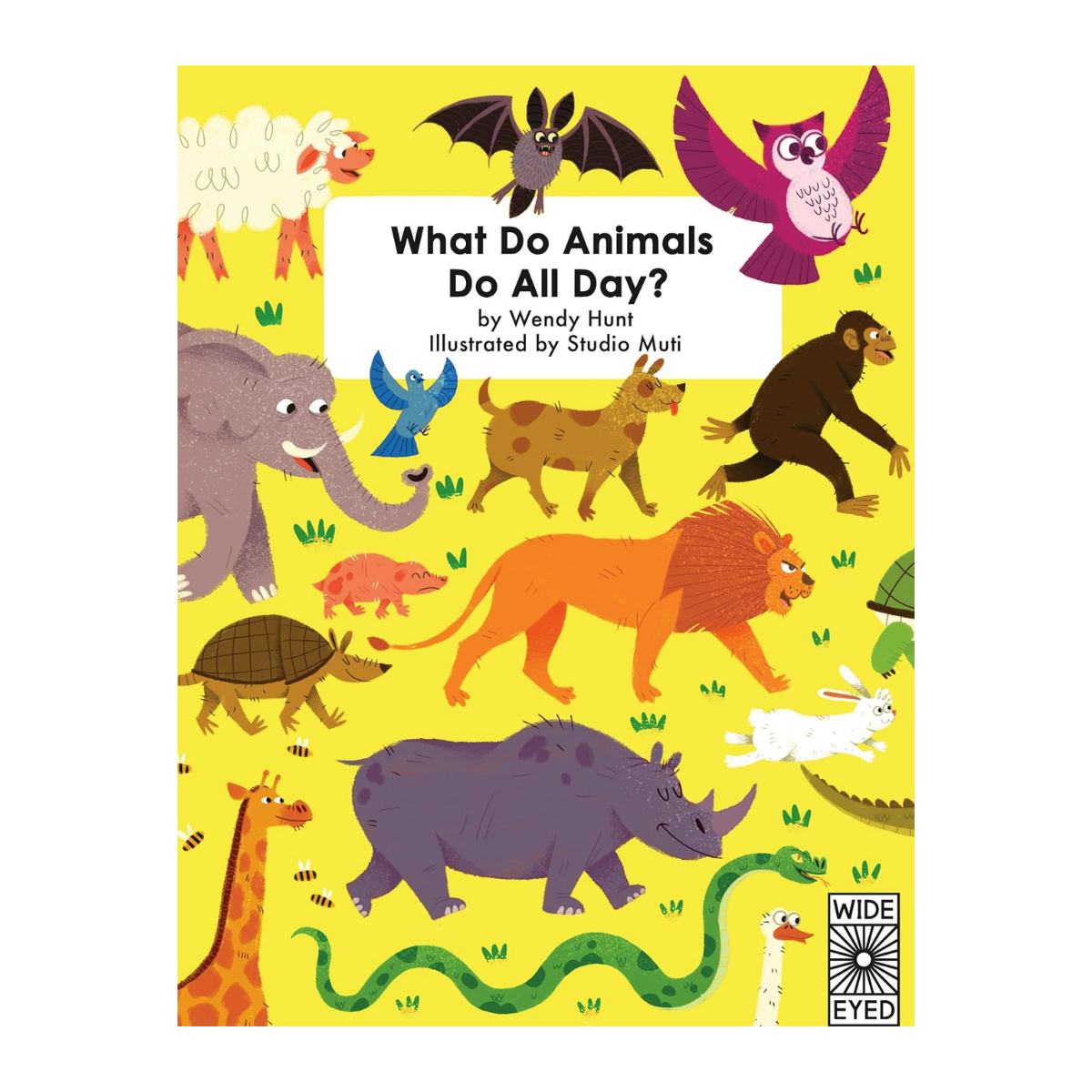 Activity Book