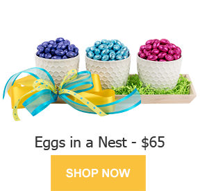 Baskits_Easter_Eggs in the Nest_blog version